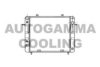 AUTOGAMMA 100725 Radiator, engine cooling